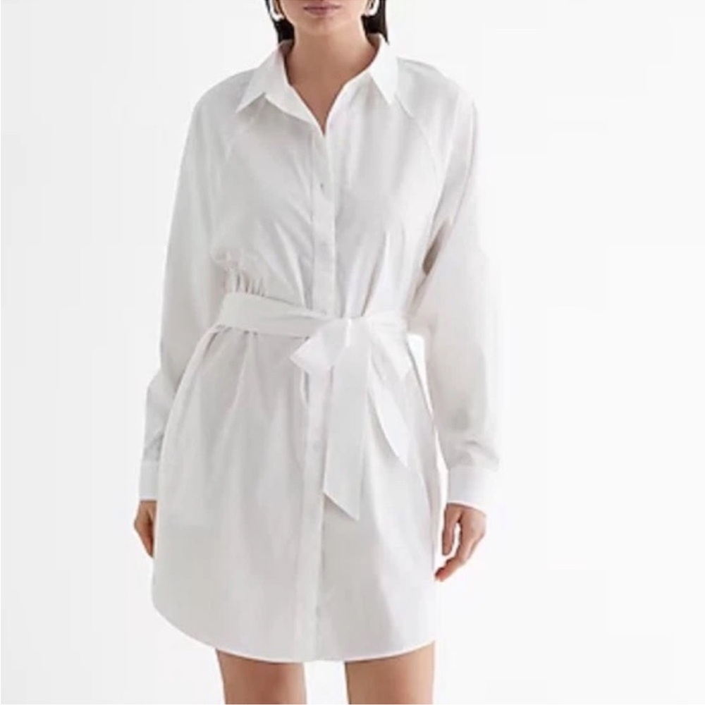 Express Button Front Boyfriend Portofino Shirt Dress